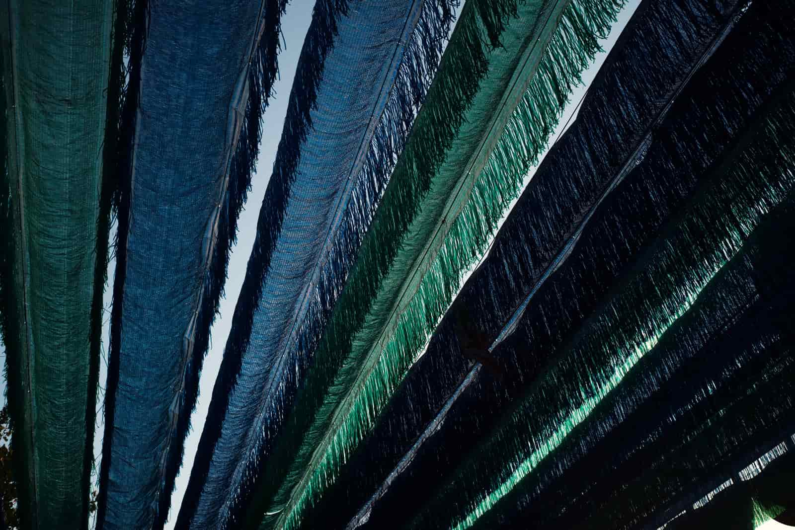 Striped woven Brazilian hammock with fringed edges